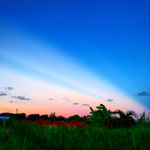 5A892D1F-1FD0-4C4A-B4B2-4688758E2C15.jpg